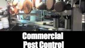 commercial pest control tyler texas