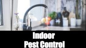 Indoor Pest Control Tyler Tx