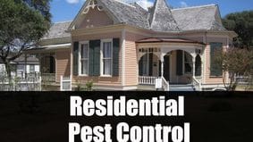 residential pest control tyler tx